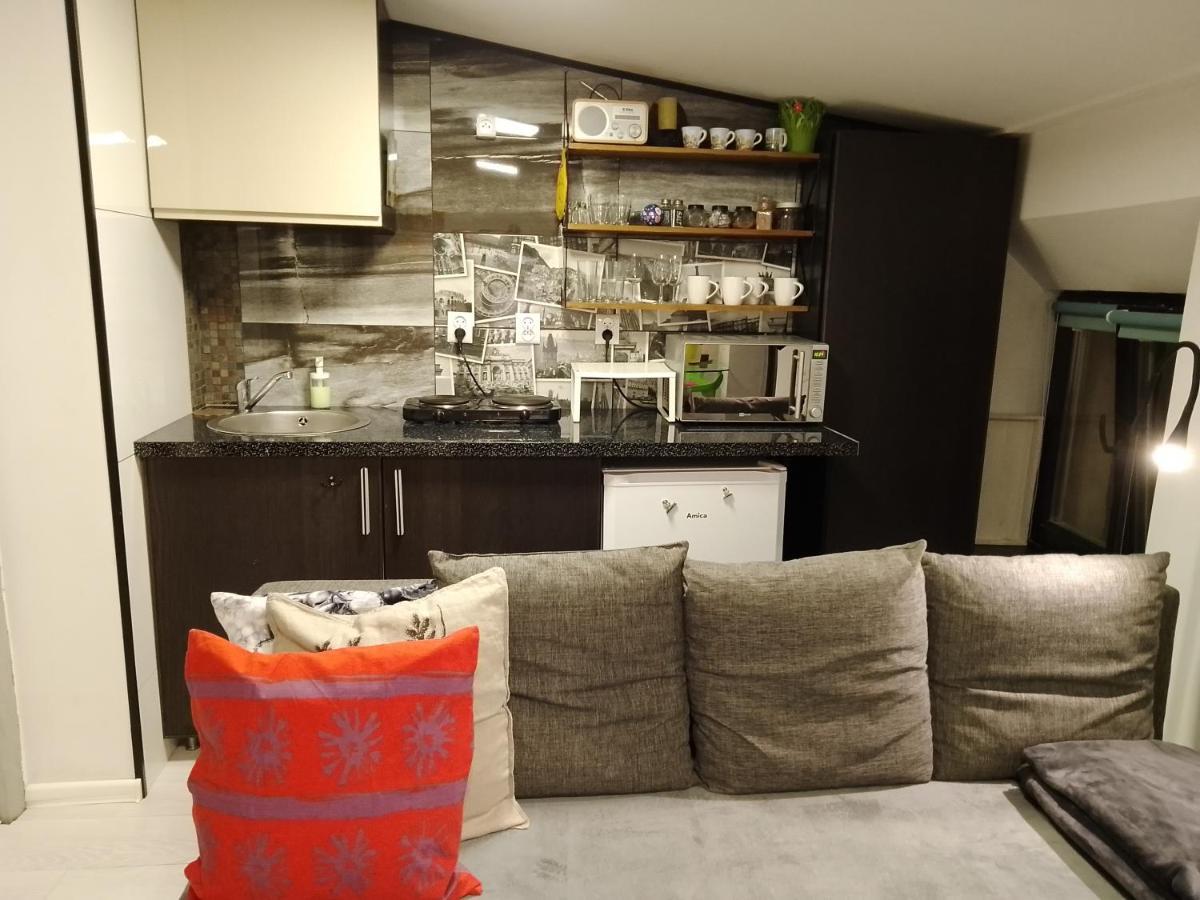 Beautiful Apartment Stary Toruń Extérieur photo