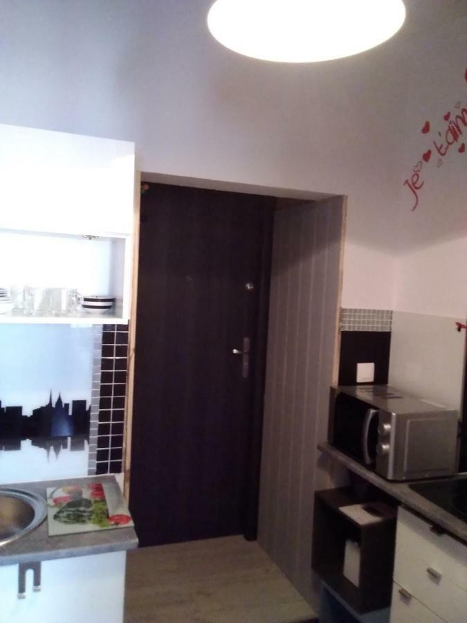 Beautiful Apartment Stary Toruń Extérieur photo